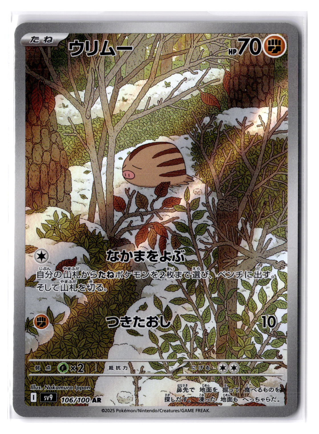 (100988) (JP) NM - Pokemon Swinub 106/100 AR sv9 Japanese