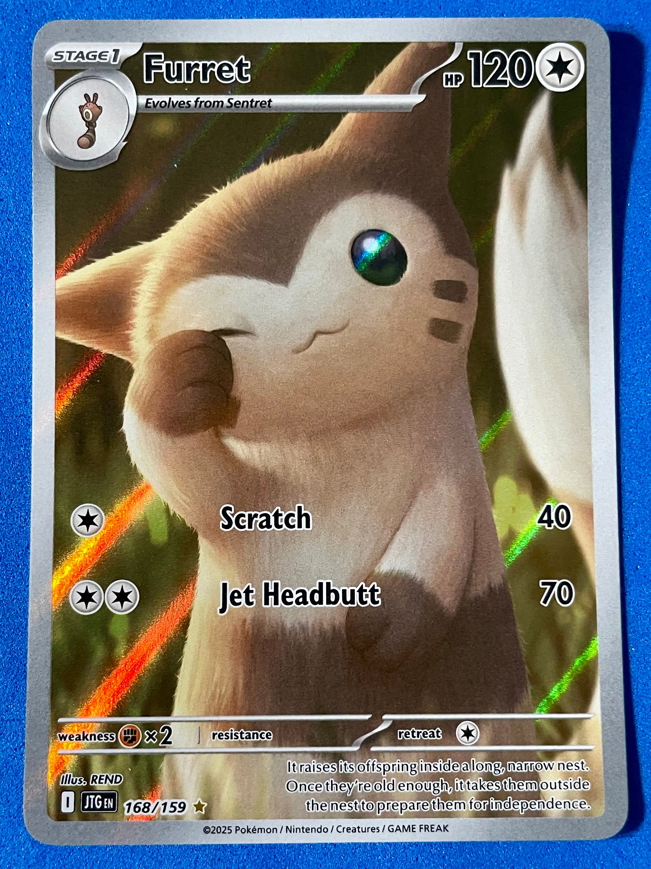 (EN) NM - Journey Together Furret 168/159 Illustration Rare English