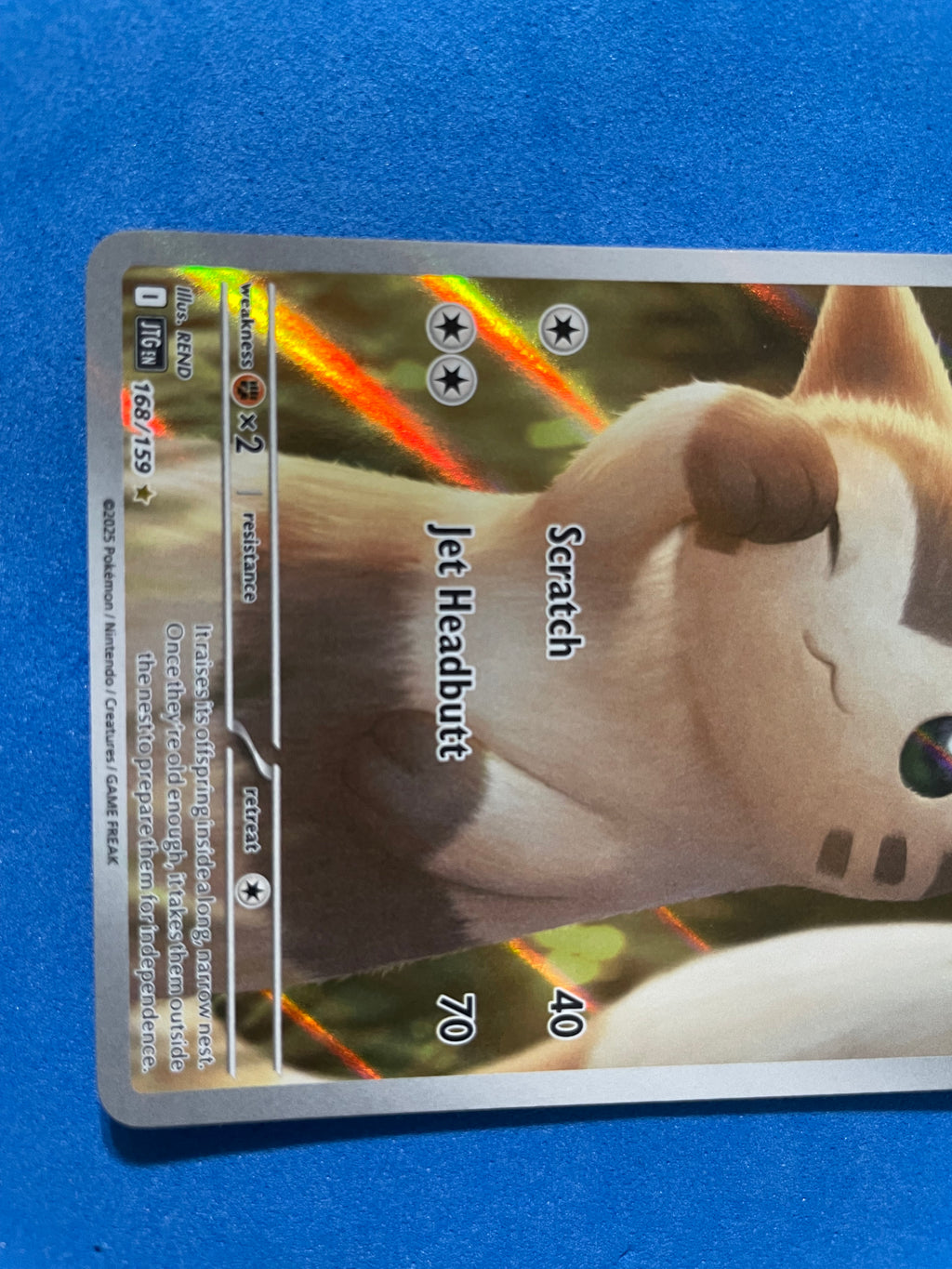 (EN) NM - Journey Together Furret 168/159 Illustration Rare English