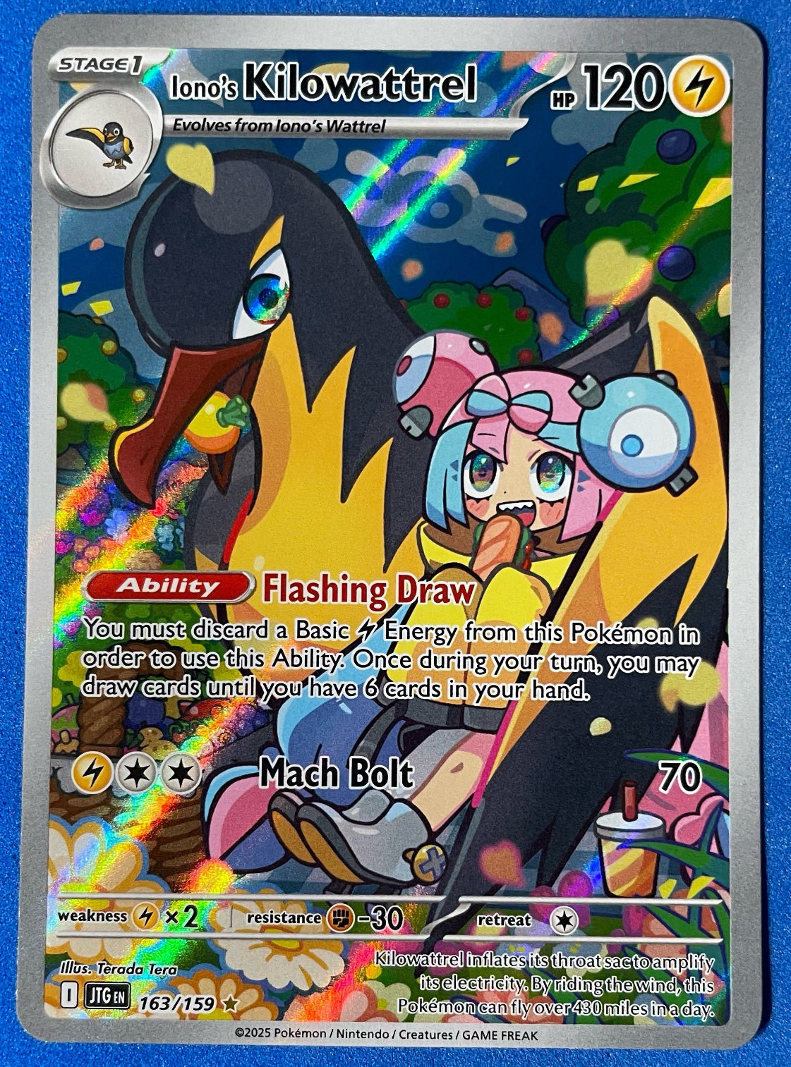 (EN) NM - Journey Together Iono's Kilowattrel 163/159 Illustration Rare